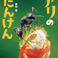 絵本「アリのたんけん」の表紙