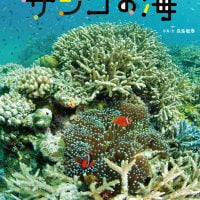 絵本「サンゴの海」の表紙（サムネイル）