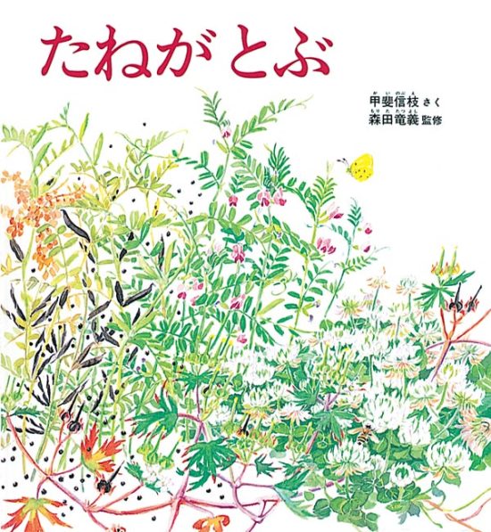 絵本「たねがとぶ」の表紙（全体把握用）（中サイズ）