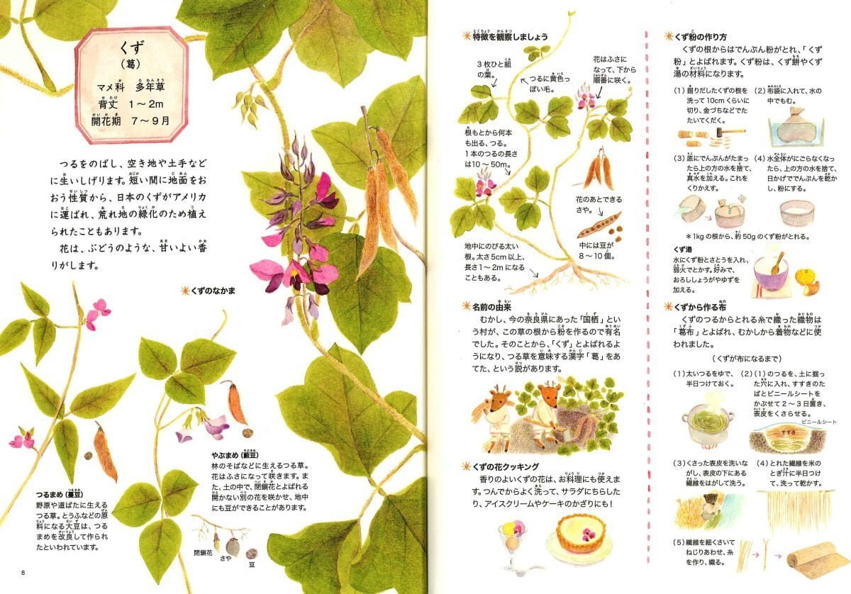 絵本「野の花えほん　秋と冬の花」の一コマ