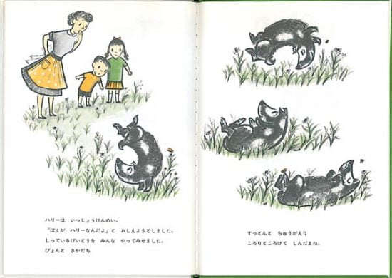 絵本『どろんこハリー』の内容紹介（あらすじ・見開き掲載） ジーン・ジオン マーガレット・ブロイ・グレアム わたなべ しげお