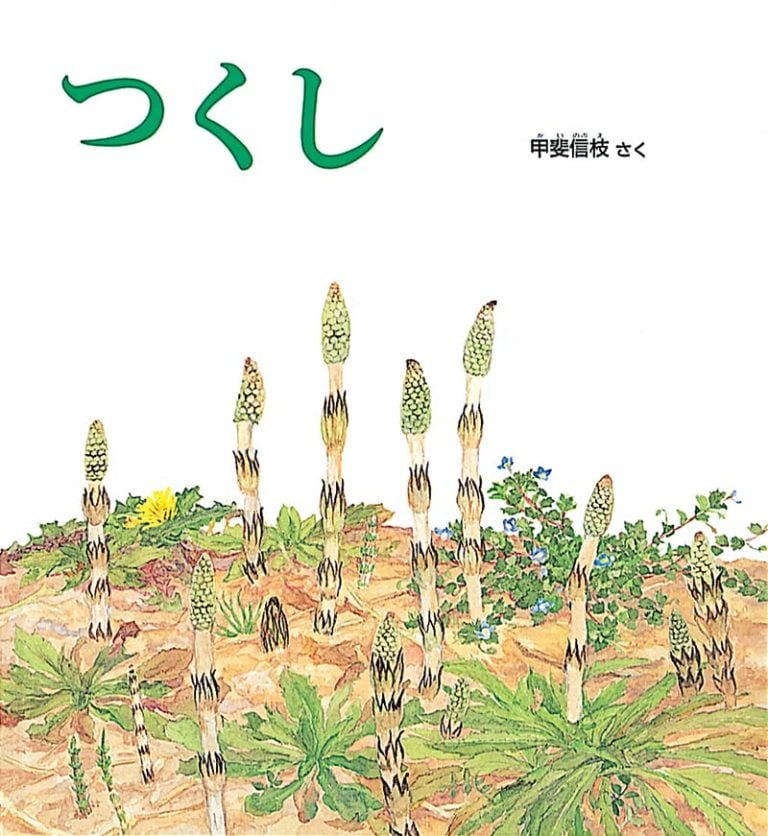 絵本「つくし」の表紙（詳細確認用）（中サイズ）