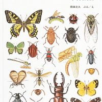 絵本「昆虫」の表紙