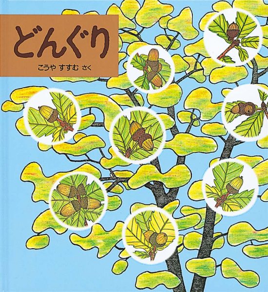 絵本「どんぐり」の表紙（全体把握用）（中サイズ）