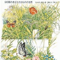 絵本「夏の虫 夏の花」の表紙（サムネイル）