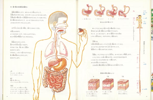 絵本「人間」の一コマ