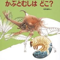 絵本「かぶとむしは どこ？」の表紙（サムネイル）