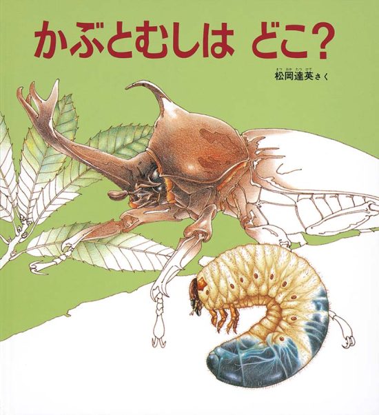 絵本「かぶとむしは どこ？」の表紙（全体把握用）（中サイズ）