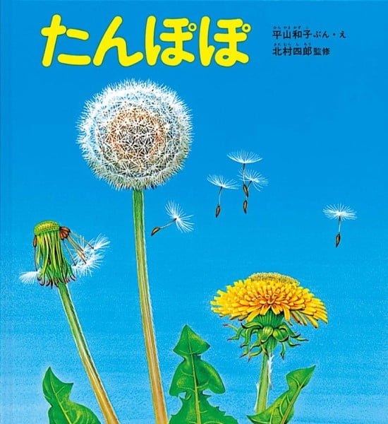 絵本「たんぽぽ」の表紙（全体把握用）（中サイズ）