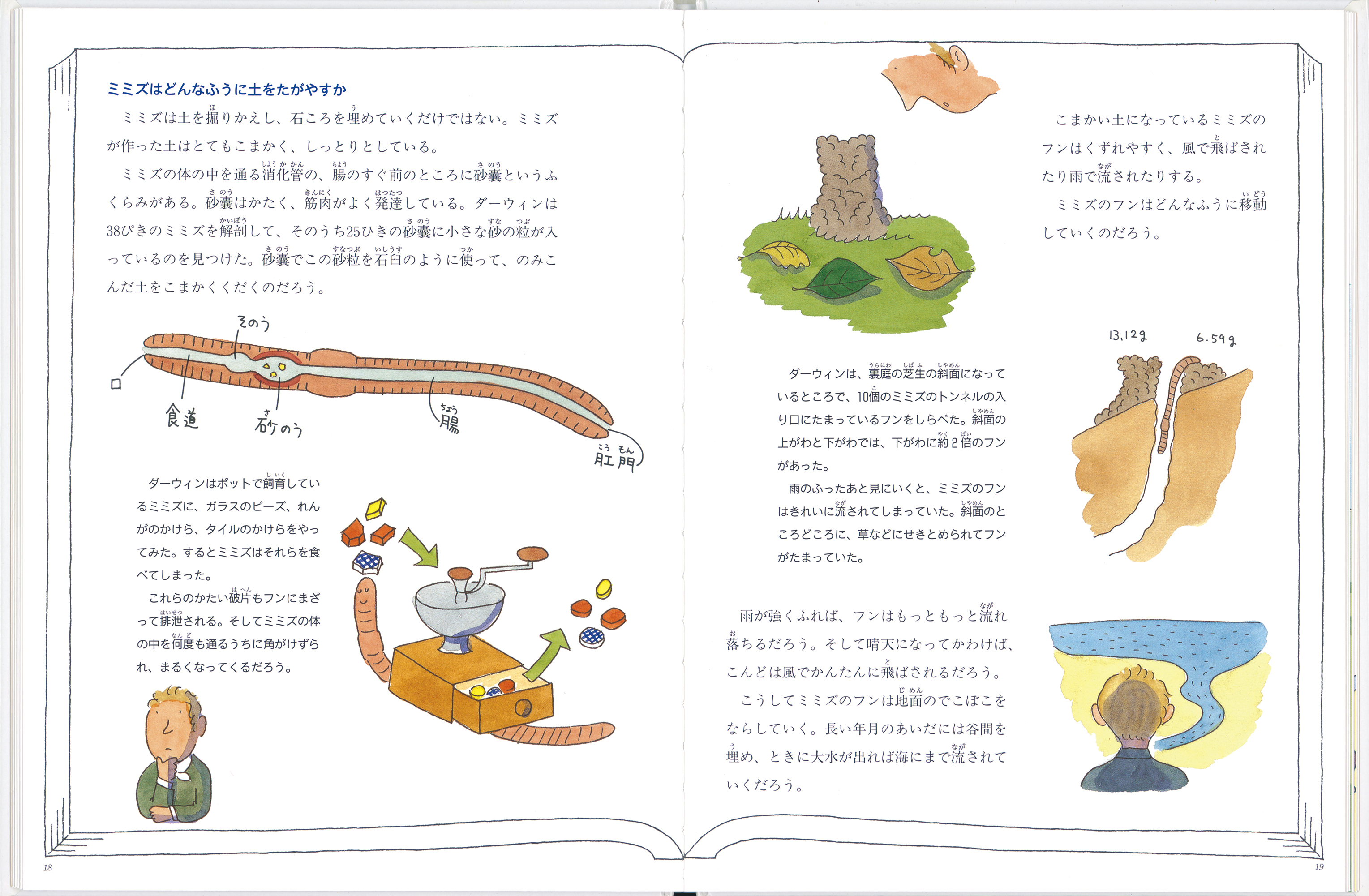 絵本 ダーウィンのミミズの研究 の内容紹介 あらすじ 絵本屋ピクトブック