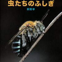 絵本「虫たちのふしぎ」の表紙（サムネイル）