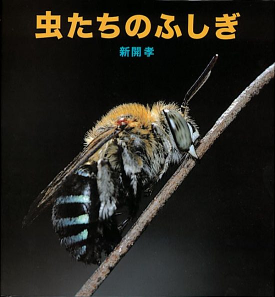 絵本「虫たちのふしぎ」の表紙（全体把握用）（中サイズ）