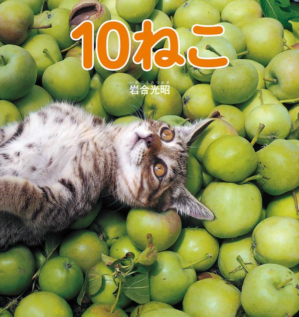 絵本「１０ねこ」の表紙（詳細確認用）（中サイズ）