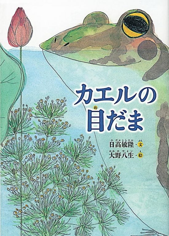 絵本「カエルの目だま」の表紙（全体把握用）（中サイズ）