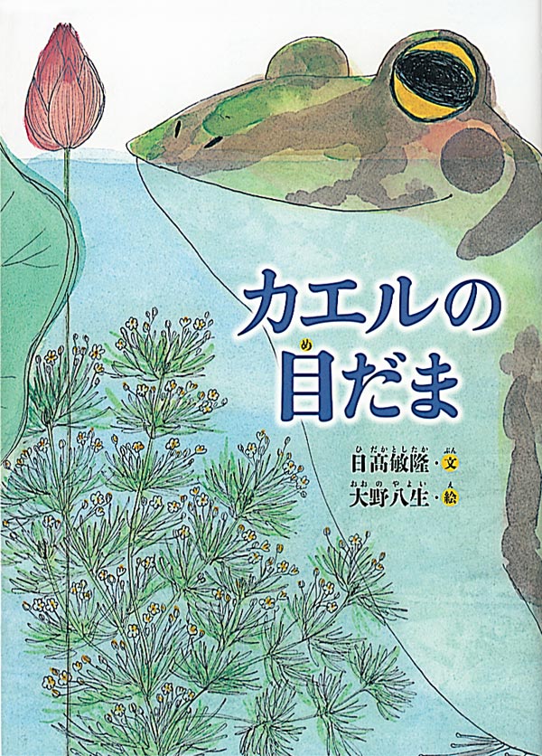 絵本「カエルの目だま」の表紙（詳細確認用）（中サイズ）