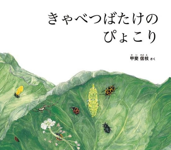 絵本「きゃべつばたけの ぴょこり」の表紙（中サイズ）