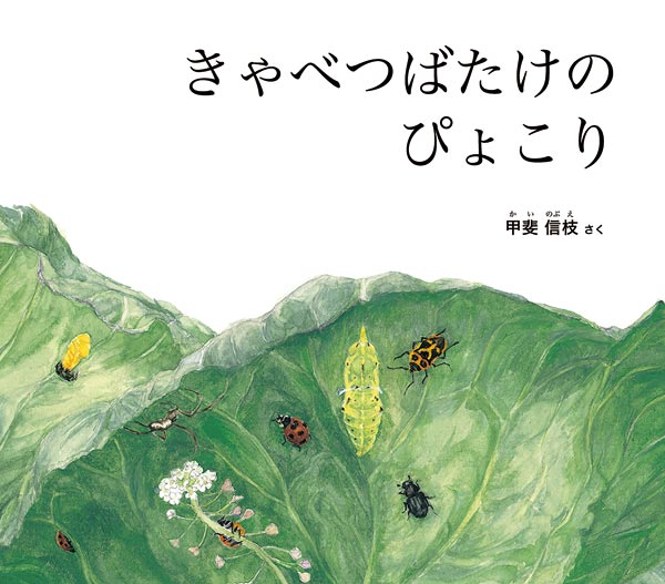 絵本「きゃべつばたけの ぴょこり」の表紙（詳細確認用）（中サイズ）