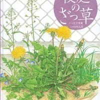 絵本「校庭のざっ草」の表紙（サムネイル）