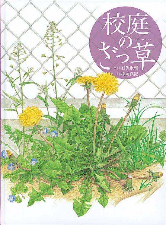 絵本「校庭のざっ草」の表紙（全体把握用）（中サイズ）