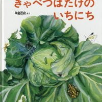 絵本「きゃべつばたけのいちにち」の表紙（サムネイル）