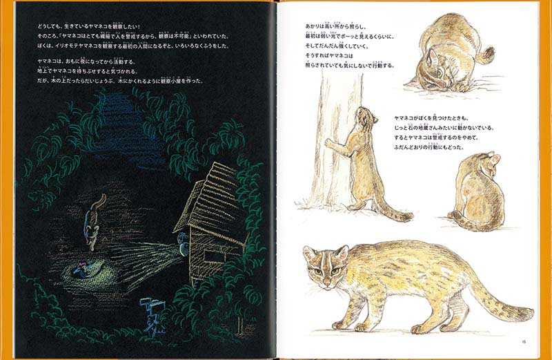 絵本「動物が　すき！ ―イリオモテヤマネコを　とおして　みえたこと―」の一コマ2
