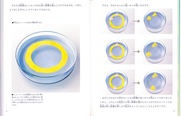 絵本「かしこい単細胞 粘菌」の一コマ2