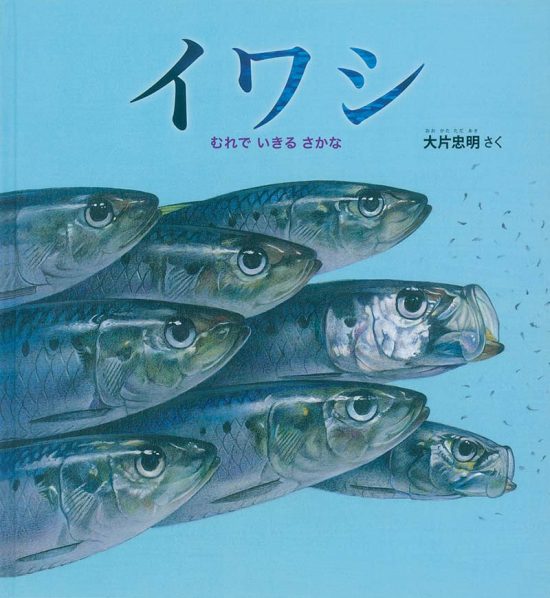 絵本「イワシ」の表紙（中サイズ）