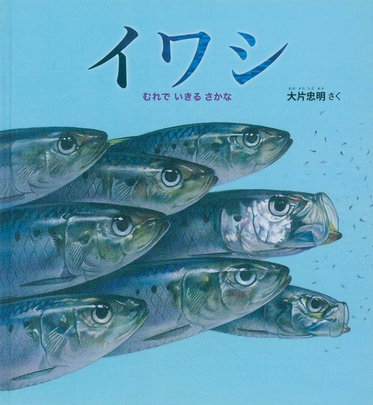 絵本「イワシ」の表紙（詳細確認用）（中サイズ）