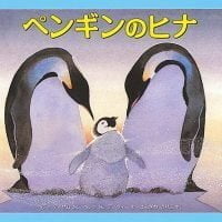 絵本「ペンギンのヒナ」の表紙