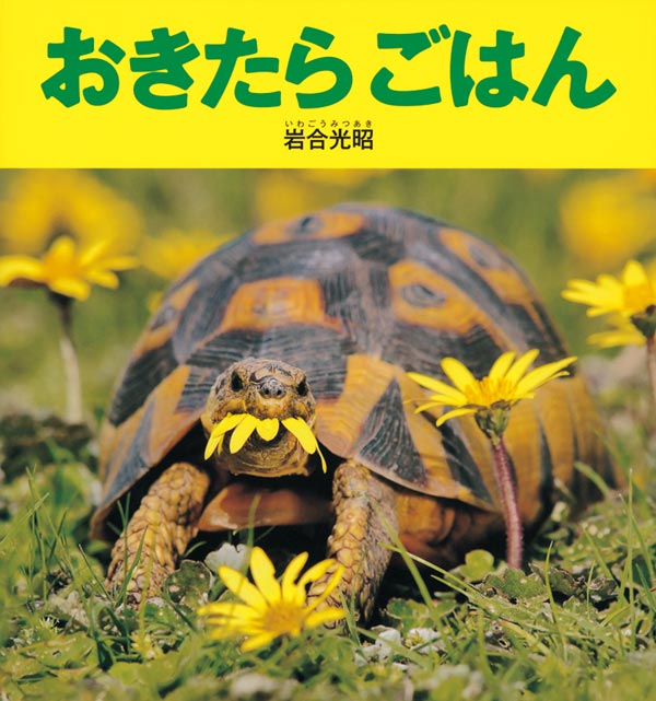 絵本「おきたらごはん」の表紙（詳細確認用）（中サイズ）