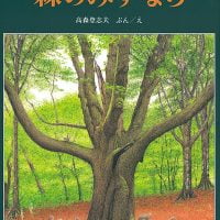 絵本「森のみずなら」の表紙（サムネイル）