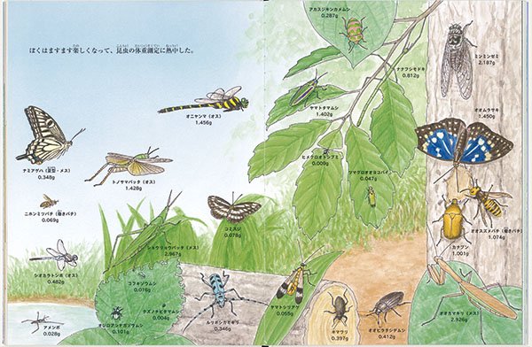 絵本「昆虫の体重測定」の一コマ2