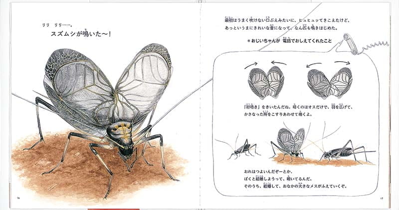 絵本「スズムシくん」の一コマ