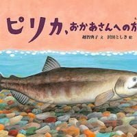 絵本「ピリカ、おかあさんへの旅」の表紙（サムネイル）