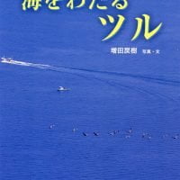 絵本「海をわたるツル」の表紙（サムネイル）