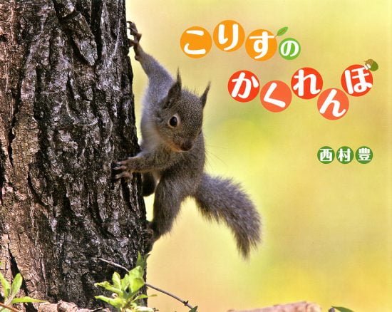 絵本「こりすのかくれんぼ」の表紙（全体把握用）（中サイズ）