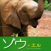 絵本「ゾウのエル」の表紙（サムネイル）