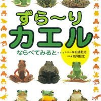 絵本「ずら〜り カエル」の表紙（サムネイル）