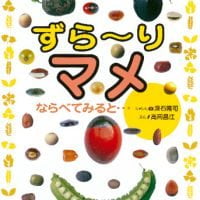 絵本「ずら〜り マメ」の表紙（サムネイル）