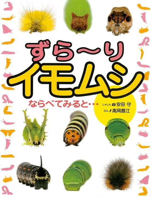 絵本「ずら〜り イモムシ」の表紙（詳細確認用）（中サイズ）