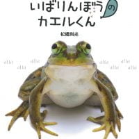 絵本「いばりんぼうのカエルくんとこわがりのガマくん」の表紙（サムネイル）