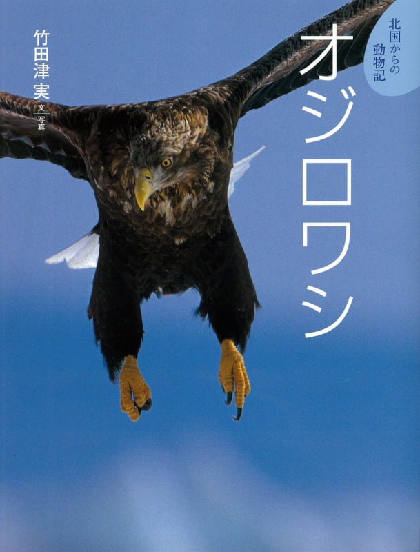 絵本「オジロワシ」の表紙（詳細確認用）（中サイズ）