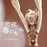 絵本「だって春だもん」の表紙（サムネイル）