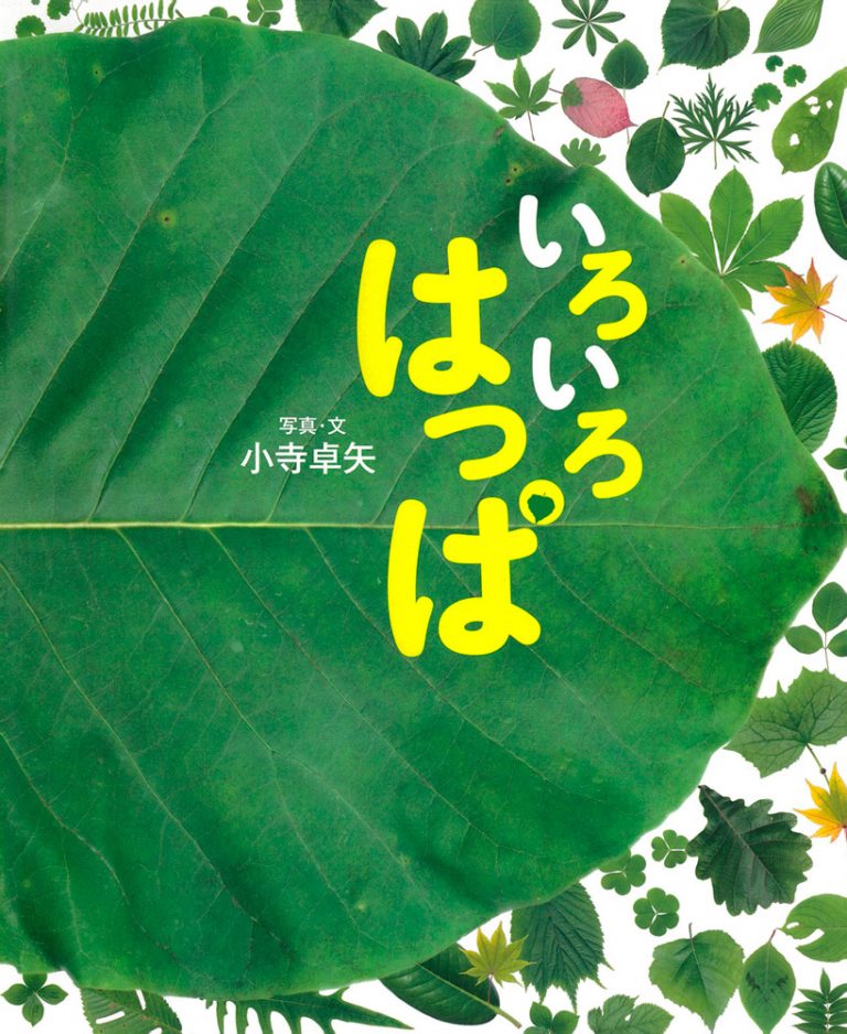 絵本「いろいろ はっぱ」の表紙（詳細確認用）（中サイズ）