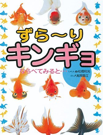 絵本「ずら〜り キンギョ」の表紙（詳細確認用）（中サイズ）