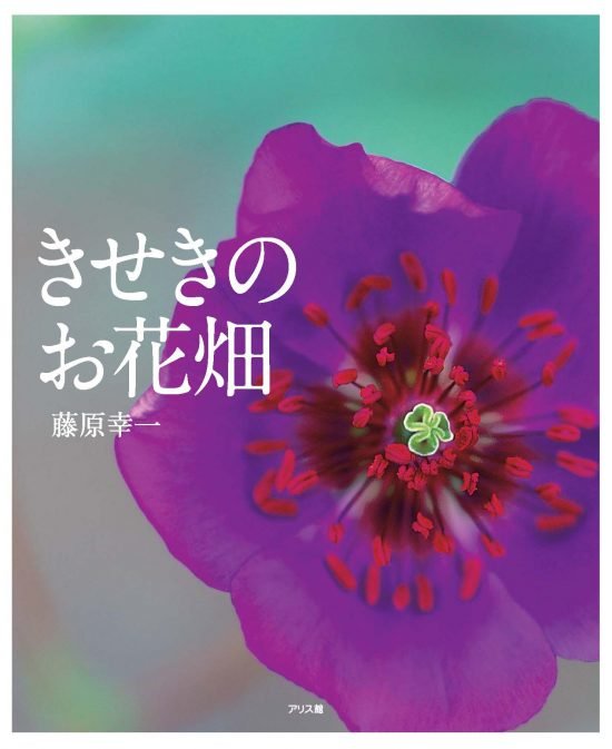 絵本「きせきのお花畑」の表紙（全体把握用）（中サイズ）