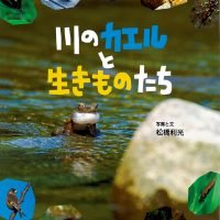 絵本「川のカエルと生きものたち」の表紙（サムネイル）