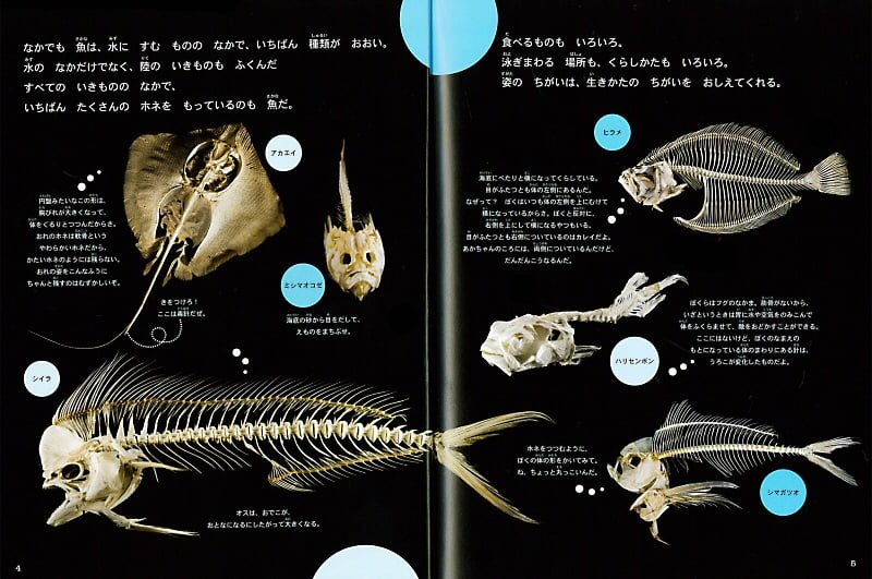 絵本「ホネホネすいぞくかん」の一コマ