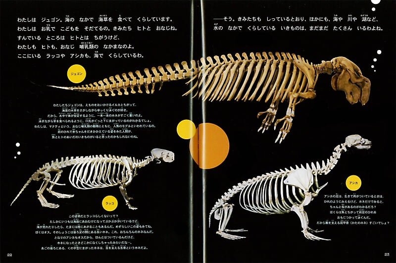 絵本「ホネホネすいぞくかん」の一コマ2