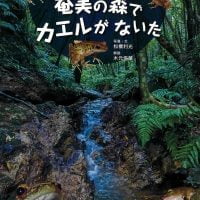 絵本「奄美の森でカエルがないた」の表紙（サムネイル）